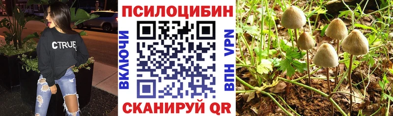 Галлюциногенные грибы мицелий  купить  цена  даркнет клад  Электросталь 